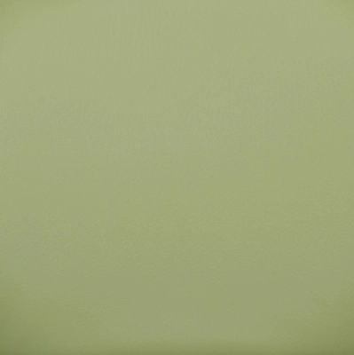 Зеленая экокожа