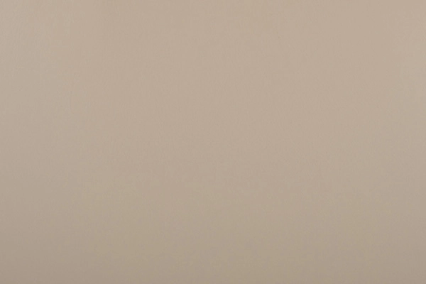 Светло-бежевая кожа